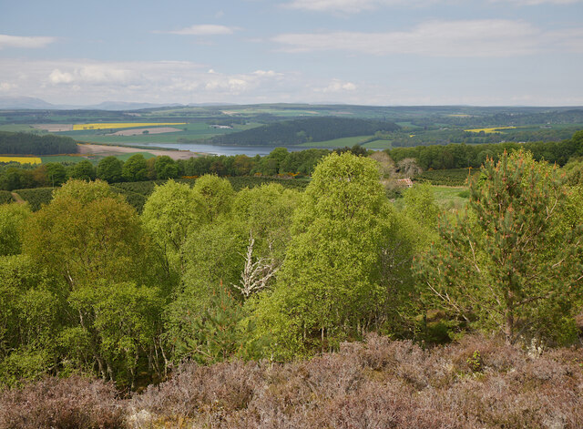 View from Taindore Wood