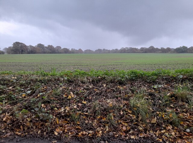 Field by White Horse Lane, Bull's Green