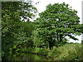 Coventry Canal near Fradley in Staffordshire