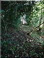 Little used footpath off the A488 south of Wagbeach