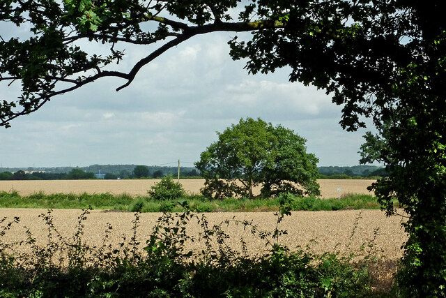 Staffordshire farmland east of Fradley Junction