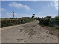 The lane to Trenhayle Farm