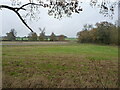 Across a field towards Stanton Lane