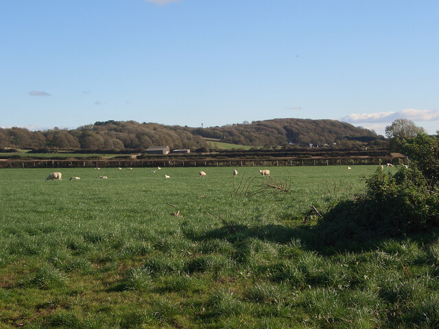 Farmland and two areas of woodland to the north of Porthcawl