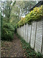 Public footpath from Hook Crescent to Hook Road