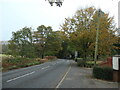 Autumn trees along Hook Road