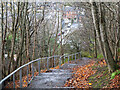 NT2540 : Steps down in Venlaw Woods, Peebles by Jim Barton