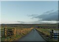 Private road to Dalgambrich Farm