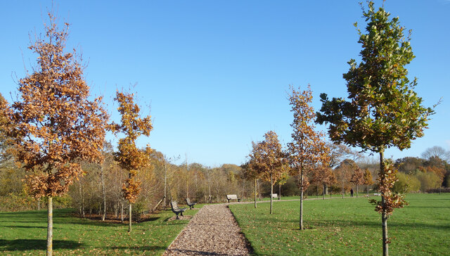 Footpath in the Park