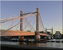 TQ2777 : Albert Bridge from the Chelsea Embankment by Stefan Czapski