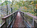 Pompren Pontnewydd / Pontnewydd footbridge