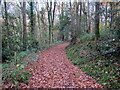 Trac yn Allt Goch / A track at Allt Goch