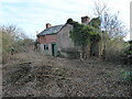 Derelict cottage at Broomfield