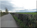 Rural lane near Prescott