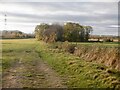 Fields, Lugg Meadows