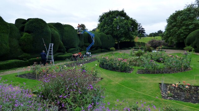 Hedge trimming at Raby Castle