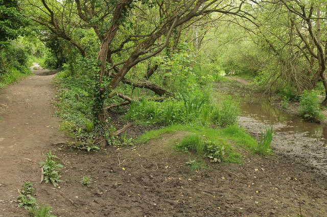 Butter Hole, Cornwall - area information, map, walks and more