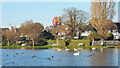 The Meare, Thorpeness