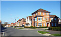 Houses on Murano Drive