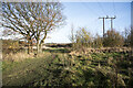 Path and power lines near Tanfield Lea