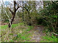 Public footpath heading away from the B4434, Tonna