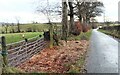 Road through farmland at Tandlehill