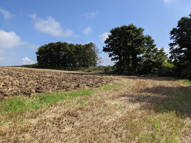 A field near Treven Farm