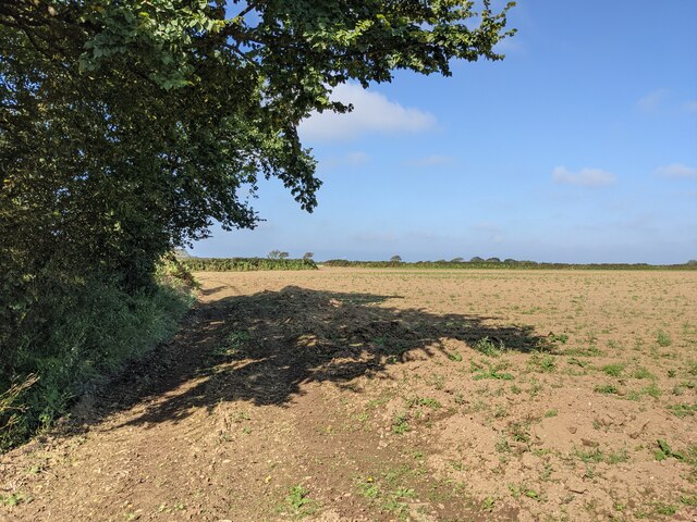 A bridleway on the edge of the field by Calais Road