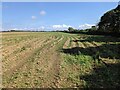 SW5835 : A field next to Calais Road by David Medcalf