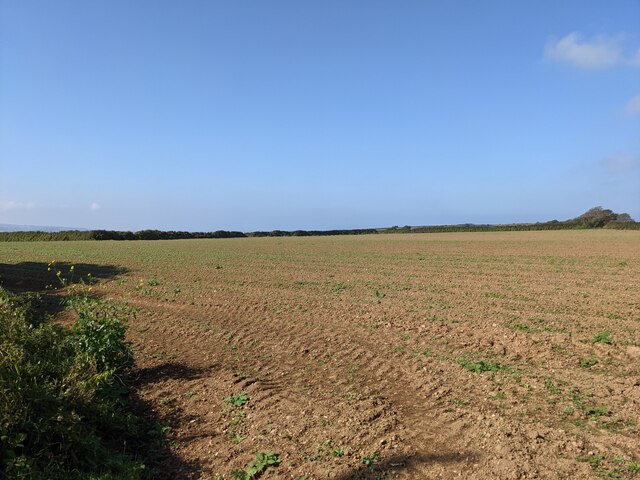 A harvested field by Calais Road