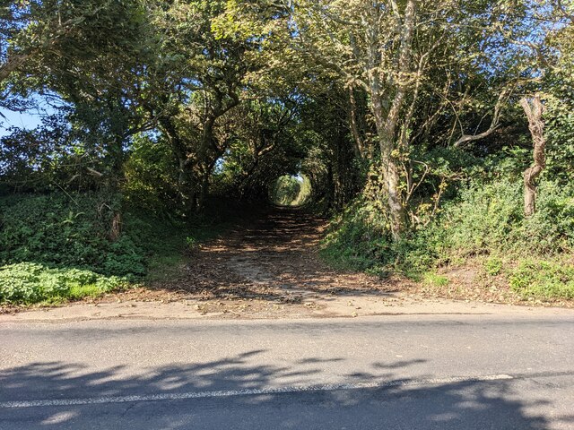 The bridleway near West Downs Farm