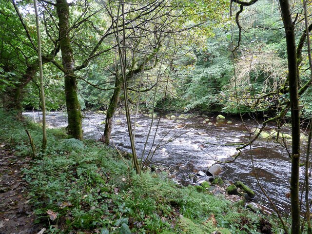 River Greta in Tebb Wood
