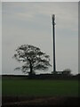 Mobile telephone mast, Awelfryn, Peniel Road, Carmarthen