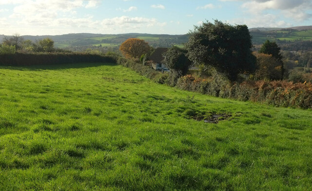 Field by Furzeleigh Lane