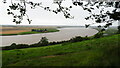 Island House & the River Trent from Hill Top Plantation near Walcot