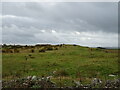 NY9277 : Rough grazing near Barrasford Park by JThomas