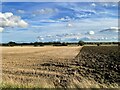 TL5970 : Farmland south of Wicken Road by ad acta