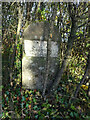 Old Milestone, B4059, Earthcott Green