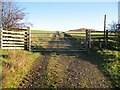 NY2433 : Gate and stile on farm track by Adrian Taylor