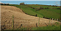 Farmland, Lower Crownley