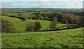 View near Lower Crownley