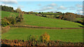 Farmland, Crownley