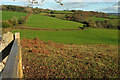 Farmland, Lower Crownley