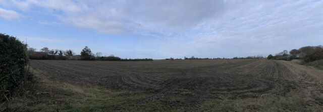 Field at West Pinchbeck