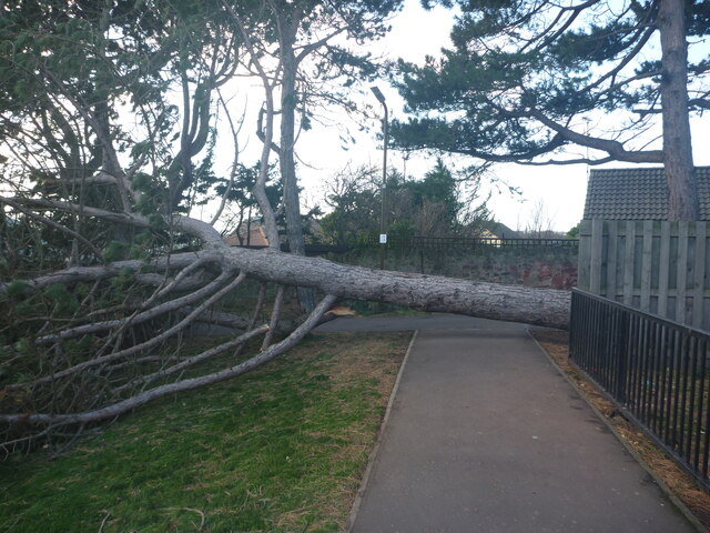 Dunbar Townscape : Storm Damage at... © Richard West cc-by-sa/2.0 ...