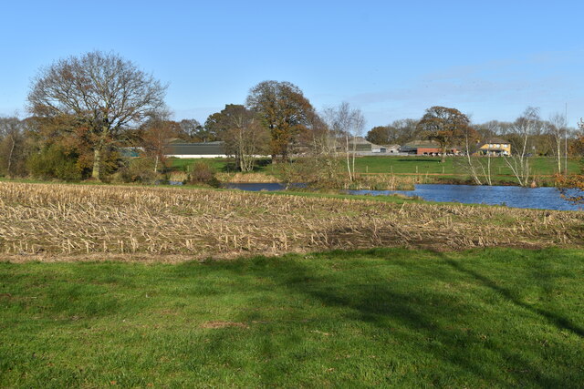 View across lake to Warren Park Farm