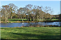 Lake at Warren Park Farm