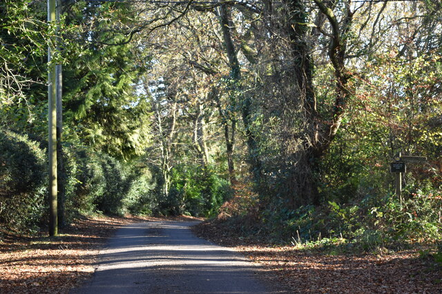 Lane to Harbridge Green