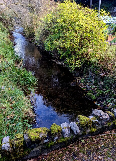 NE along Mounton Brook, Mounton