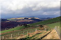 Hen heol i Gwmcothi  / Old road to Cwmcothi